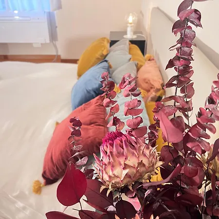 Contemporary Central With Lift And Ac Apartment